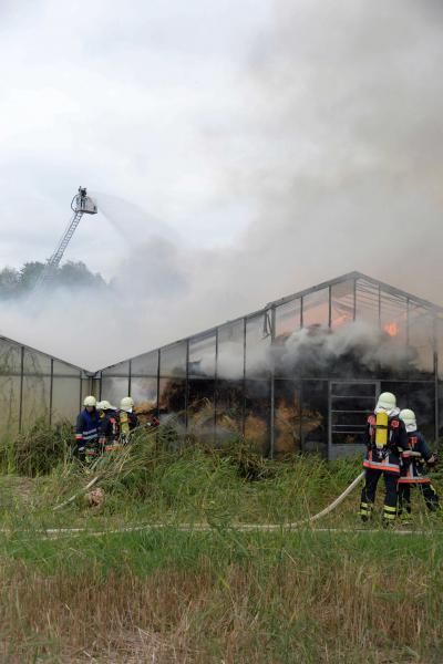 Strohlager in altem Gewaechshaus in Vollbrand in Waiblingen-Beinstein - War es Brandstiftung?